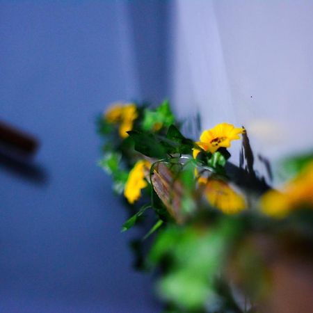 O Viajante Av Paulista Hostel เซาเปาโล ภายนอก รูปภาพ