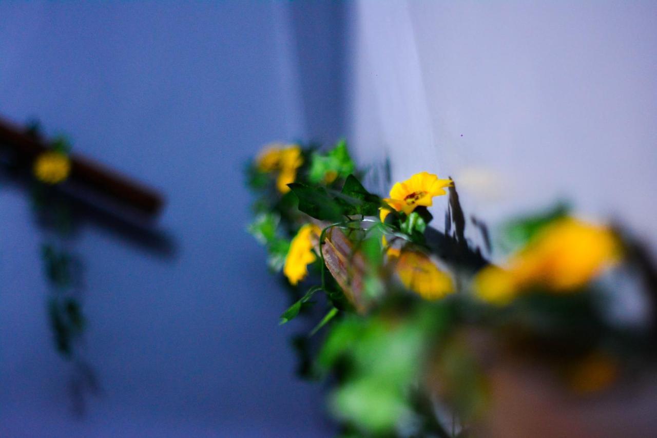 O Viajante Av Paulista Hostel เซาเปาโล ภายนอก รูปภาพ